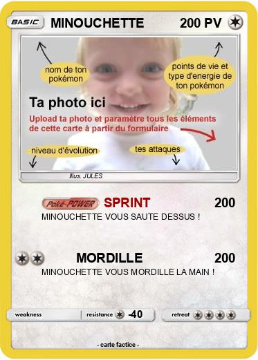 Pokemon MINOUCHETTE