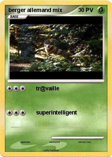 Pokemon berger allemand mix