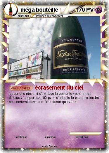 Pokemon méga bouteille