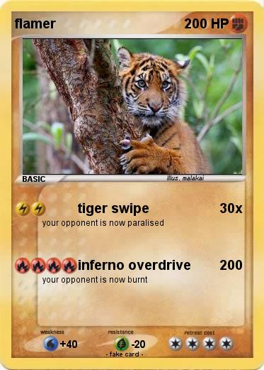 Pokemon flamer