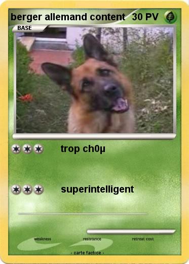 Pokemon berger allemand content