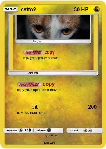 Pokemon catto2