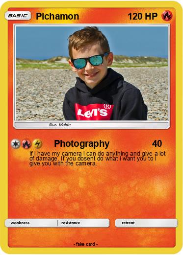 Pokemon Pichamon