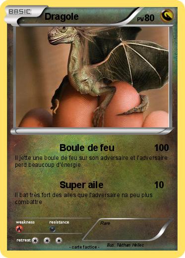 Pokemon Dragole