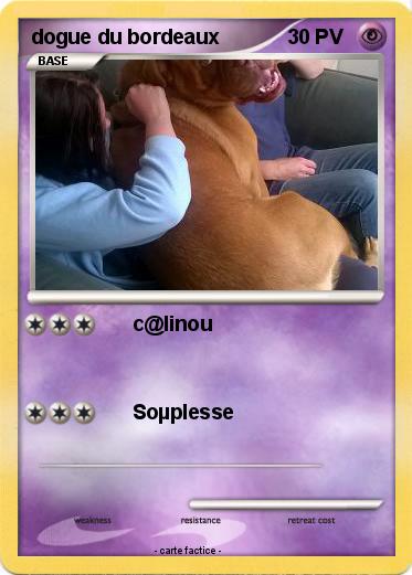 Pokemon dogue du bordeaux