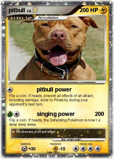 Pokemon pitbull