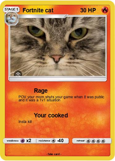 Pokemon Fortnite cat