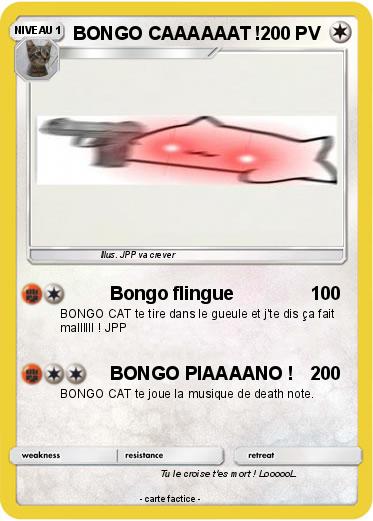 Pokemon BONGO CAAAAAAT !