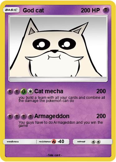 Pokemon God cat