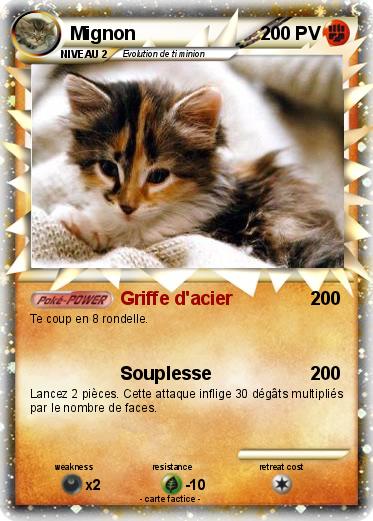 Pokemon Mignon
