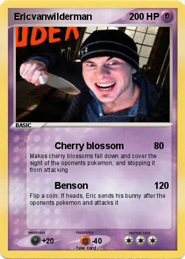Pokemon Ericvanwilderman
