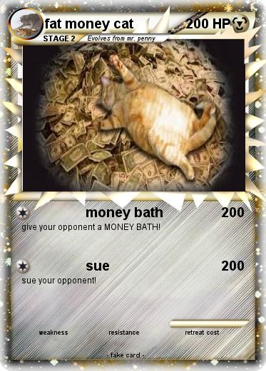 Pokemon fat money cat