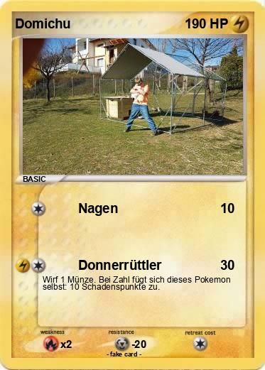 Pokemon Domichu