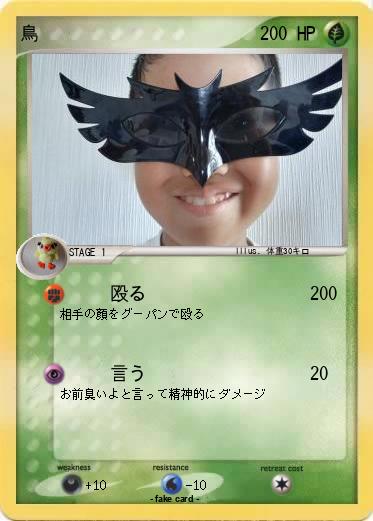 Pokemon 鳥