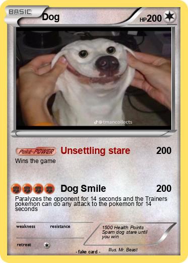 Pokemon Dog