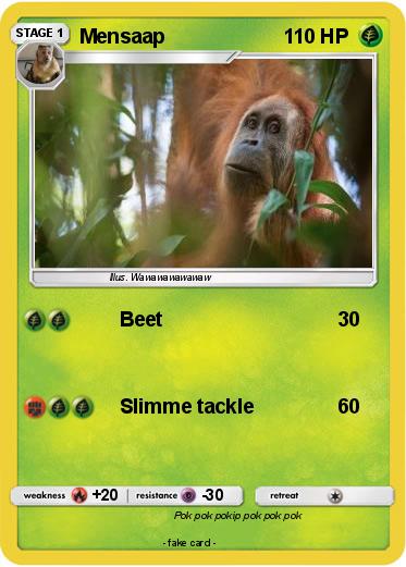 Pokemon Mensaap