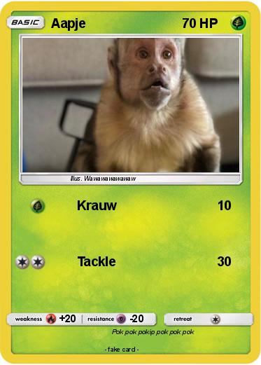 Pokemon Aapje