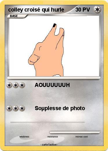 Pokemon colley croisé qui hurle