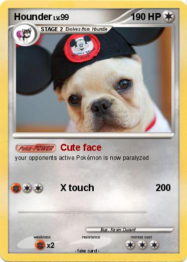 Pokemon Hounder