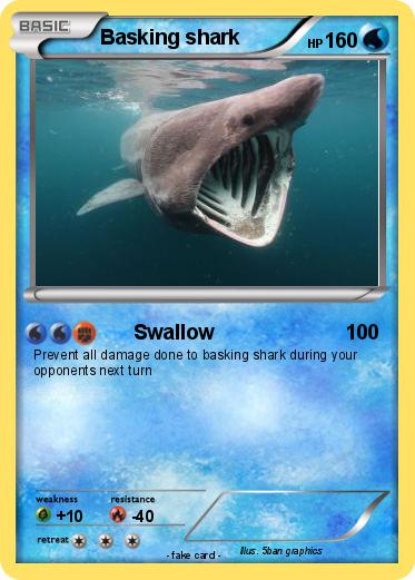 Pokemon Basking shark