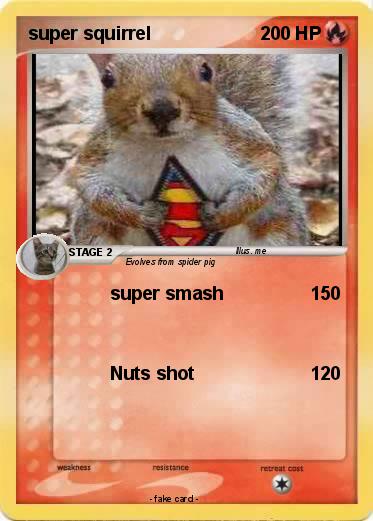 Pokemon super squirrel