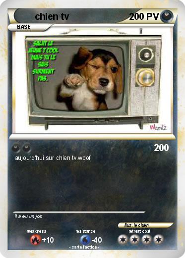 Pokemon chien tv