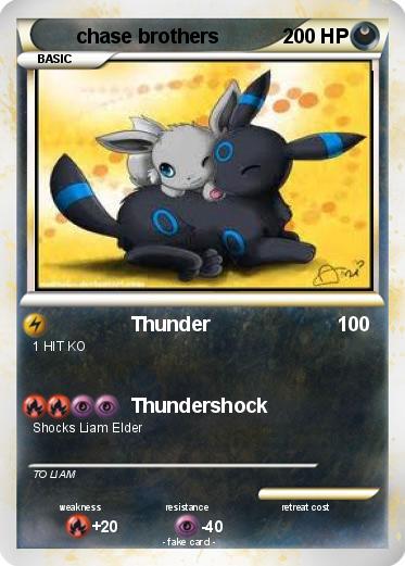 Pokemon chase brothers