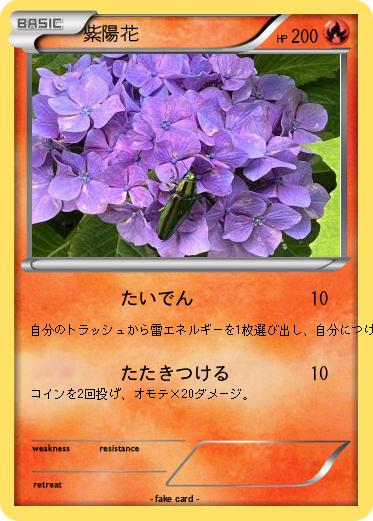Pokemon 紫陽花