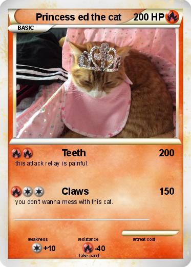 Pokemon Princess ed the cat