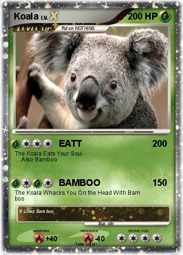 Pokemon Koala