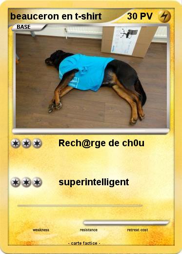 Pokemon beauceron en t-shirt
