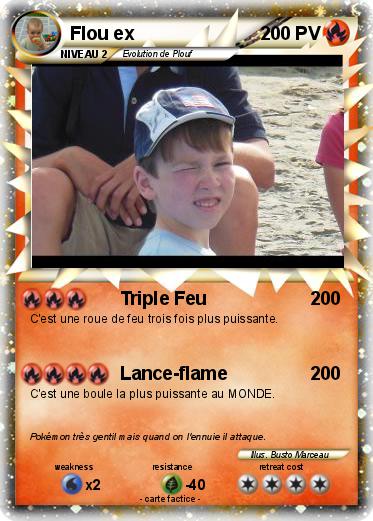 Pokemon Flou ex