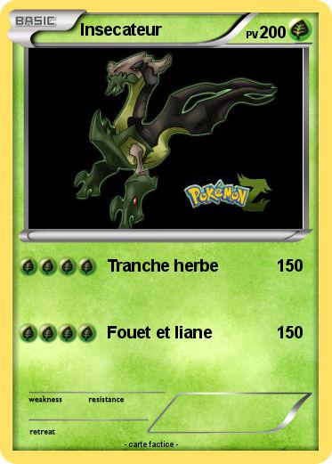 Pokemon Insecateur