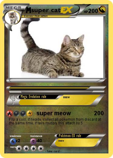 Pokemon super cat