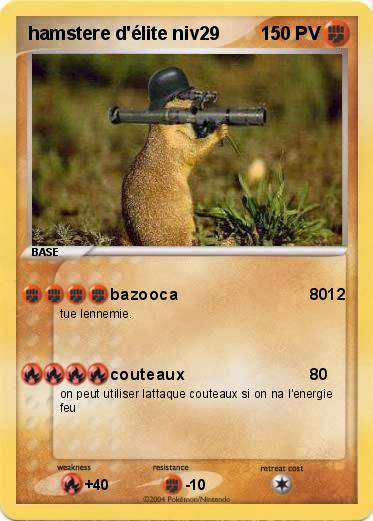 Pokemon hamstere d'élite niv29