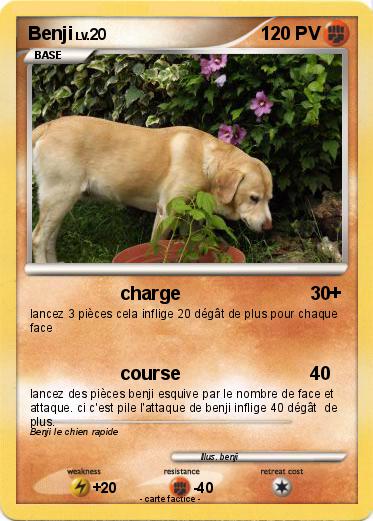 Pokemon Benji