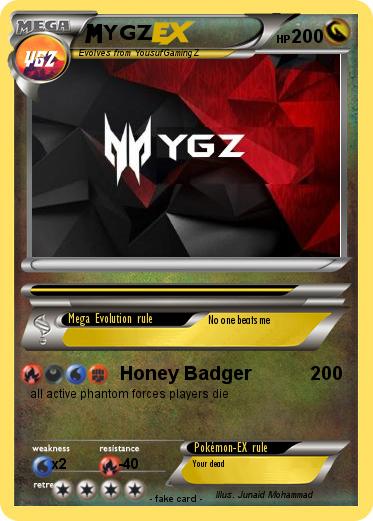 Pokemon YGZ