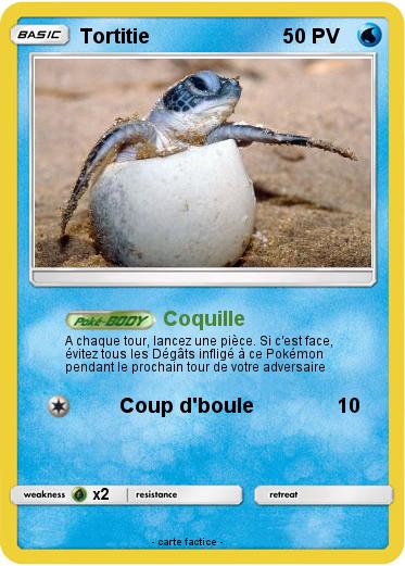 Pokemon Tortitie