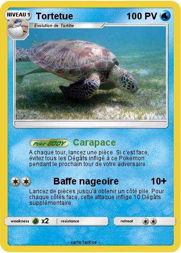 Pokemon Tortetue