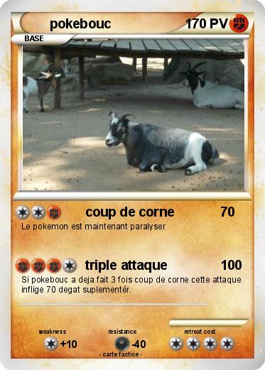 Pokemon pokebouc