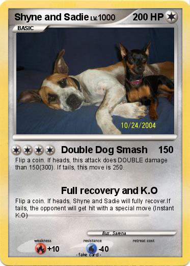 Pokemon Shyne and Sadie