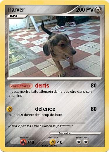 Pokemon harver