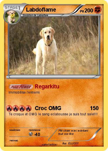 Pokemon Labdoflame