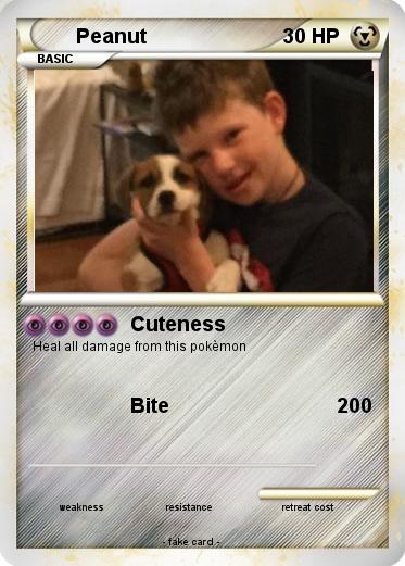 Pokemon Peanut