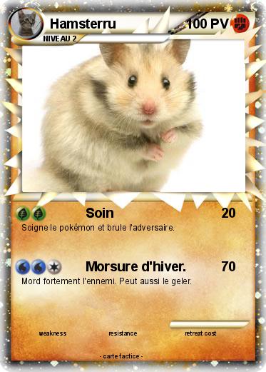 Pokemon Hamsterru