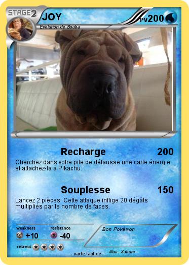 Pokemon JOY