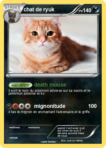 Pokemon chat de ryuk