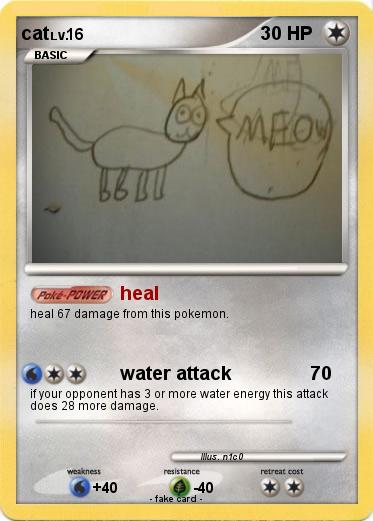 Pokemon cat