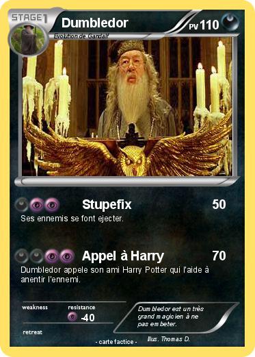 Pokemon Dumbledor