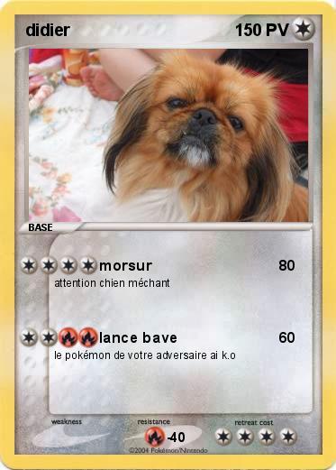 Pokemon didier